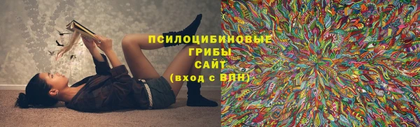 трава Киренск